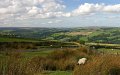 Yorkshire Moors